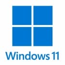 Windows 11 Professional Windows 11 Professional